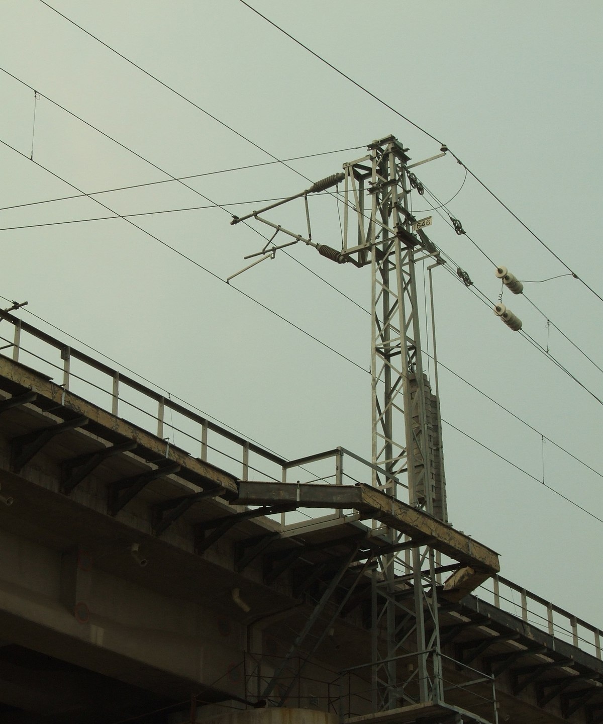 pic2.jpg